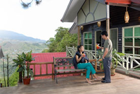 Mountain chalet